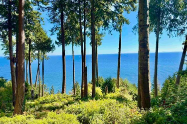 61/LOT3 Larson Rd, Gibsons, BC - MLS: R3169694