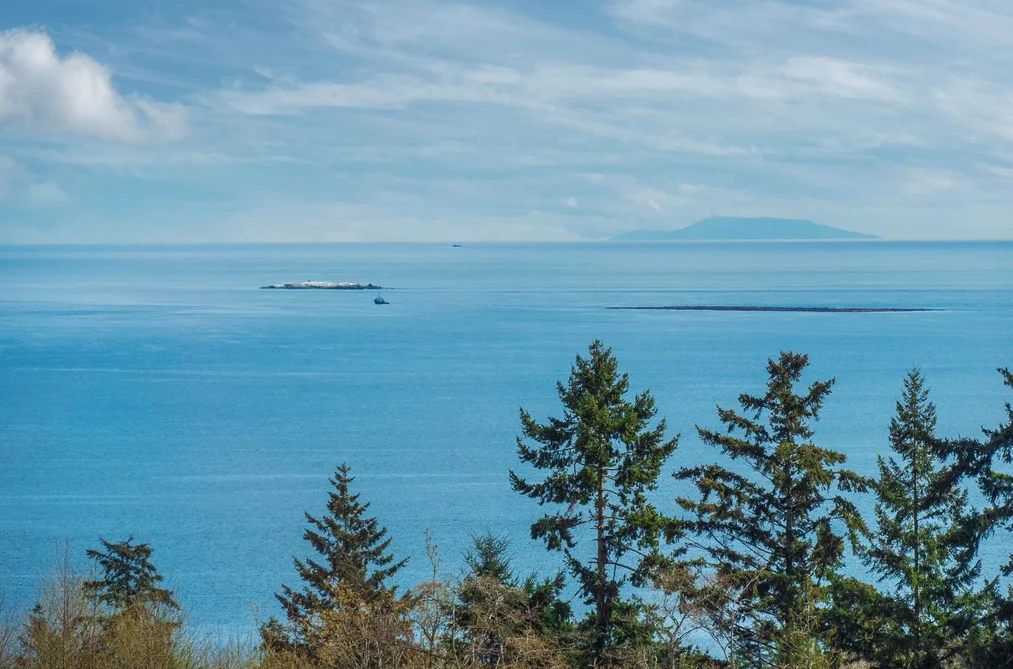 6249 BAILLIE ROAD, Sechelt BC V7Z 0R5, Sechelt BC — Residential for Sale - Photo 6