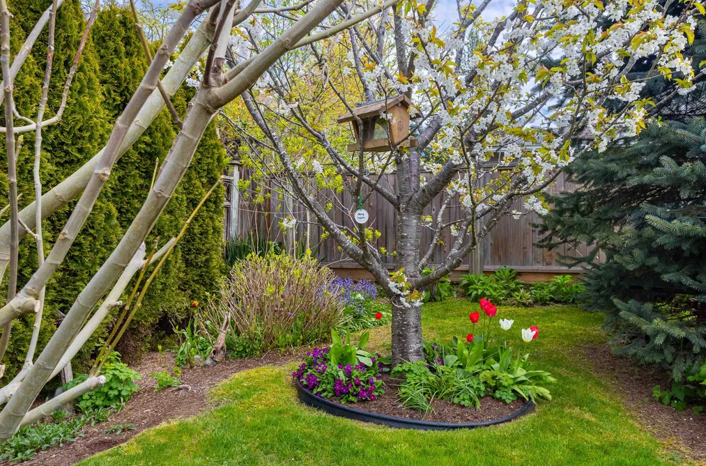 6270 HOMESTEAD AVENUE, Sechelt BC V7Z 0M6, Sechelt BC — Residential for Sale - Photo 6
