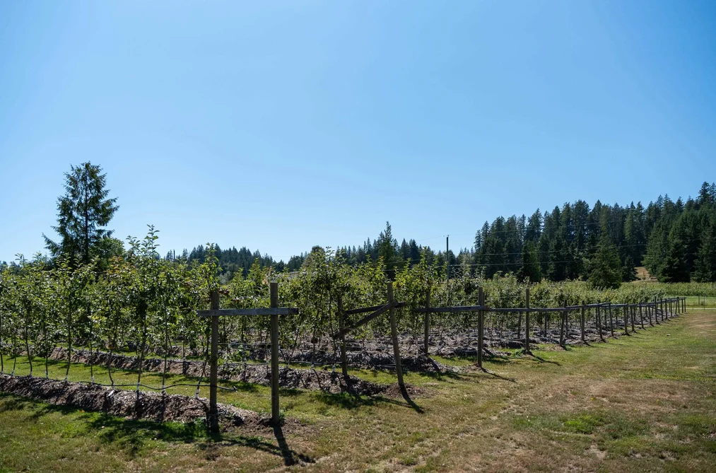 6316 CROWSTON ROAD, Sechelt BC V7Z 0L1, Sechelt BC — Residential for Sale - Photo 5