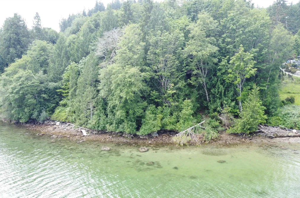 6340 N GALE AVENUE, Sechelt BC V7Z 0P8, Sechelt BC — Land for Sale - Photo 6