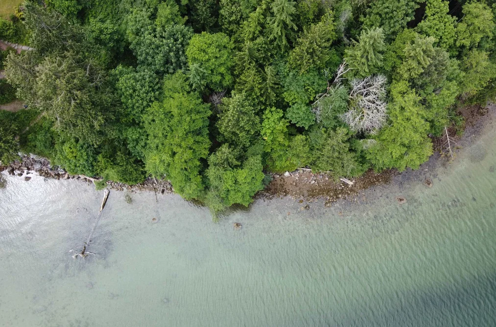 6340 N GALE AVENUE, Sechelt BC V7Z 0P8, Sechelt BC — Land for Sale - Photo 7