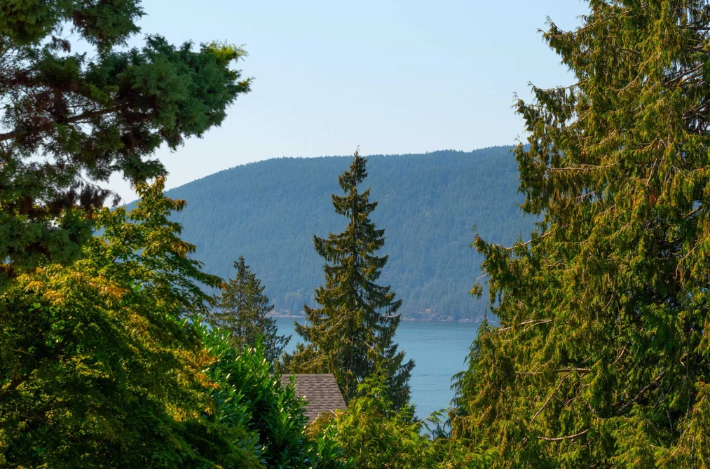 6440 Rosebery Avenue, West Vancouver, BC - MLS: R3165218 - Photo 31 6440 Rosebery Avenue, West Vancouver, BC - MLS: R3165218 - Photo 31