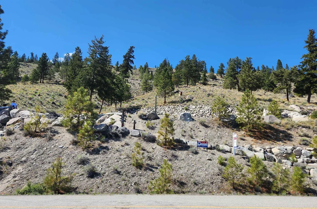 6461 MONCK PARK ROAD, No City Value BC V1K 0A1, No City Value BC — Land for Sale - Photo 4