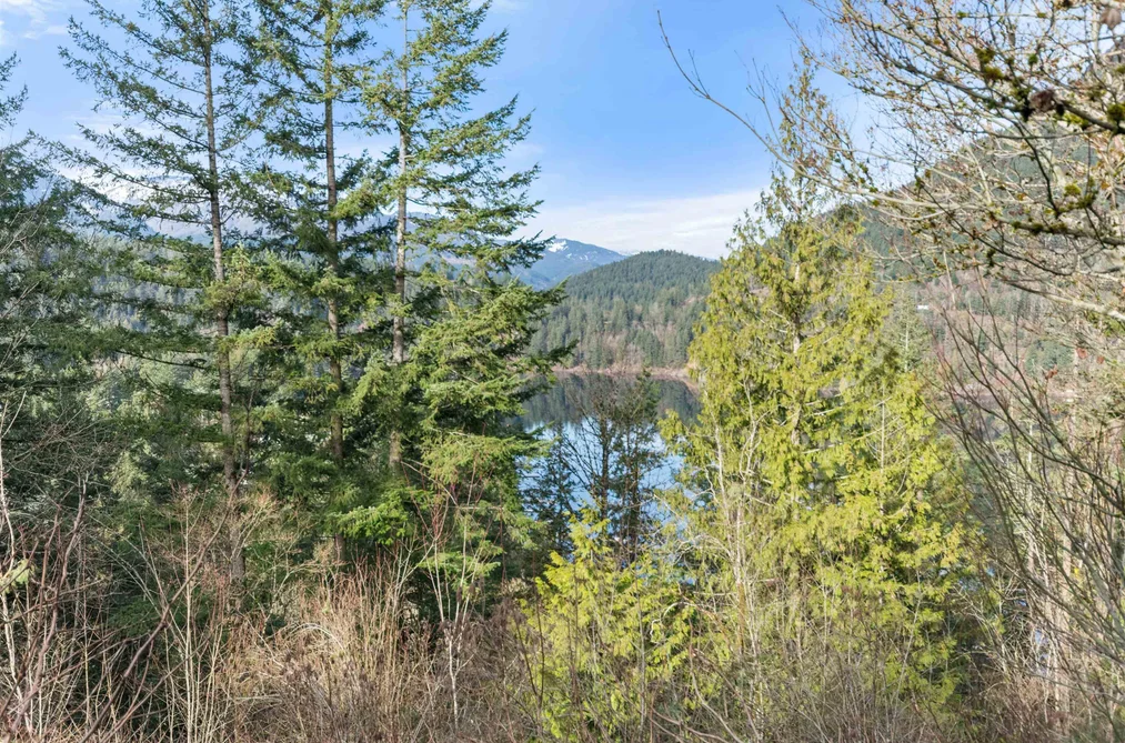 House for sale at 66176 Kawkawa Lake Road Hope British Columbia - MLS: R3073710