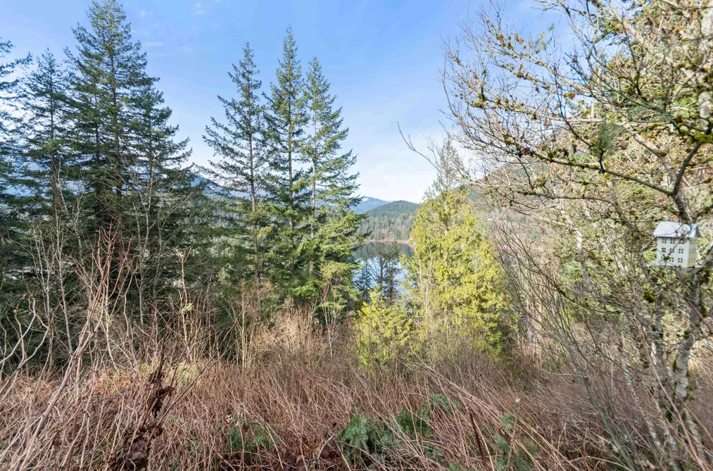 66176 KAWKAWA LAKE ROAD, Hope BC V0X 1L1, Hope BC — Residential for Sale - Photo 5