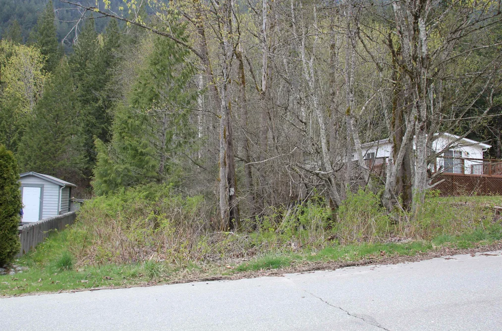 66555 KERELUK ROAD, Hope BC V0X 1L1, Hope BC — Land for Sale - Photo 5