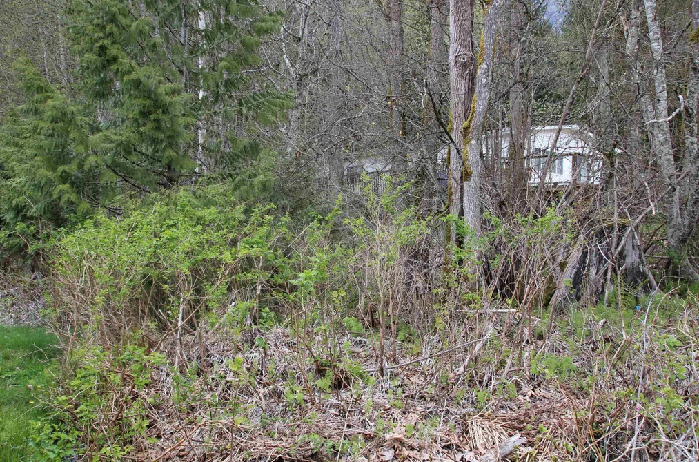 66555 KERELUK ROAD, Hope BC V0X 1L1, Hope BC — Land for Sale - Photo 7