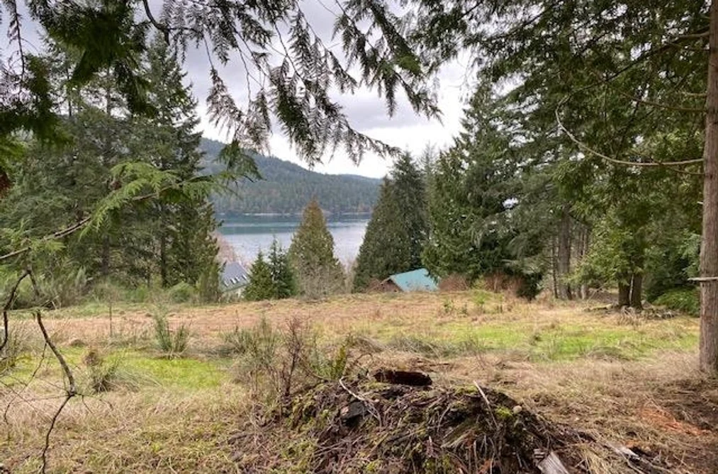 672 ISABELLA POINT ROAD, Salt Spring Island BC V8K 1V6, Salt Spring Island BC — Land for Sale - Photo 5