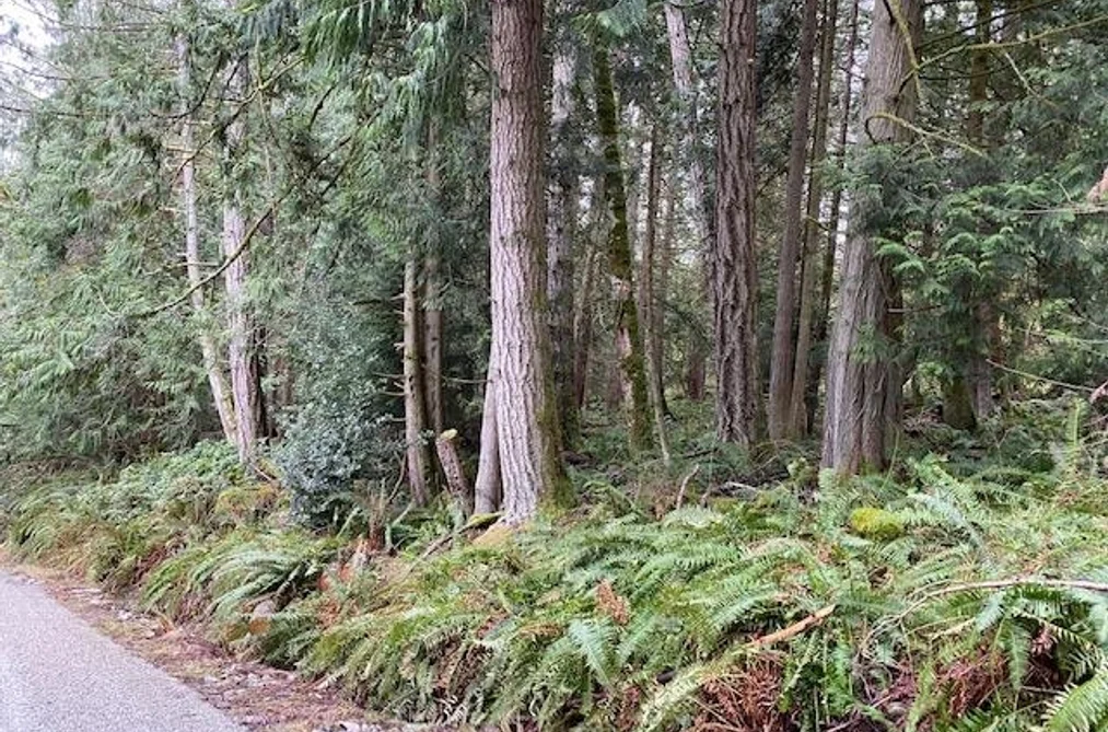 672 ISABELLA POINT ROAD, Salt Spring Island BC V8K 1V6, Salt Spring Island BC — Land for Sale - Photo 6