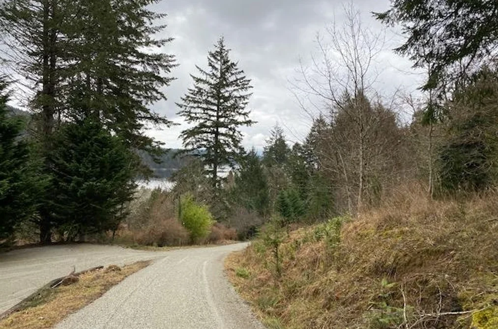 672 ISABELLA POINT ROAD, Salt Spring Island BC V8K 1V6, Salt Spring Island BC — Land for Sale - Photo 7