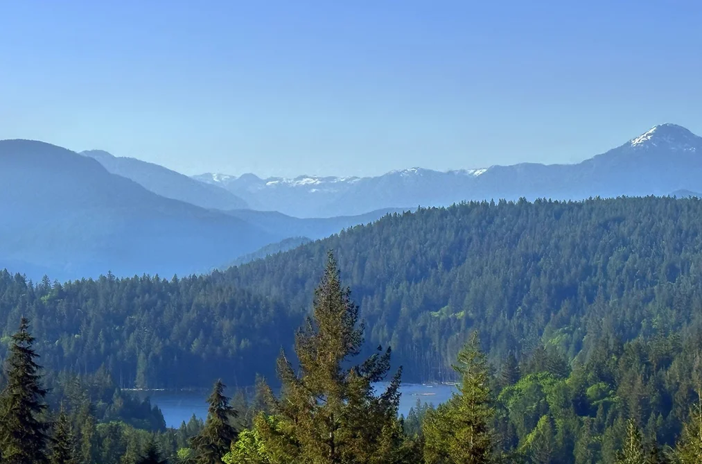675 CATES LANE, Bowen Island BC V0N 1G2, Bowen Island BC — Residential for Sale - Photo 7