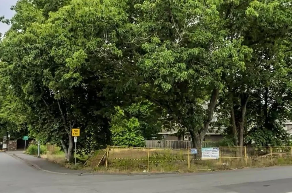 6831 LUCAS ROAD, Richmond BC V7C 3J7, Richmond BC — Land for Sale - Photo 3