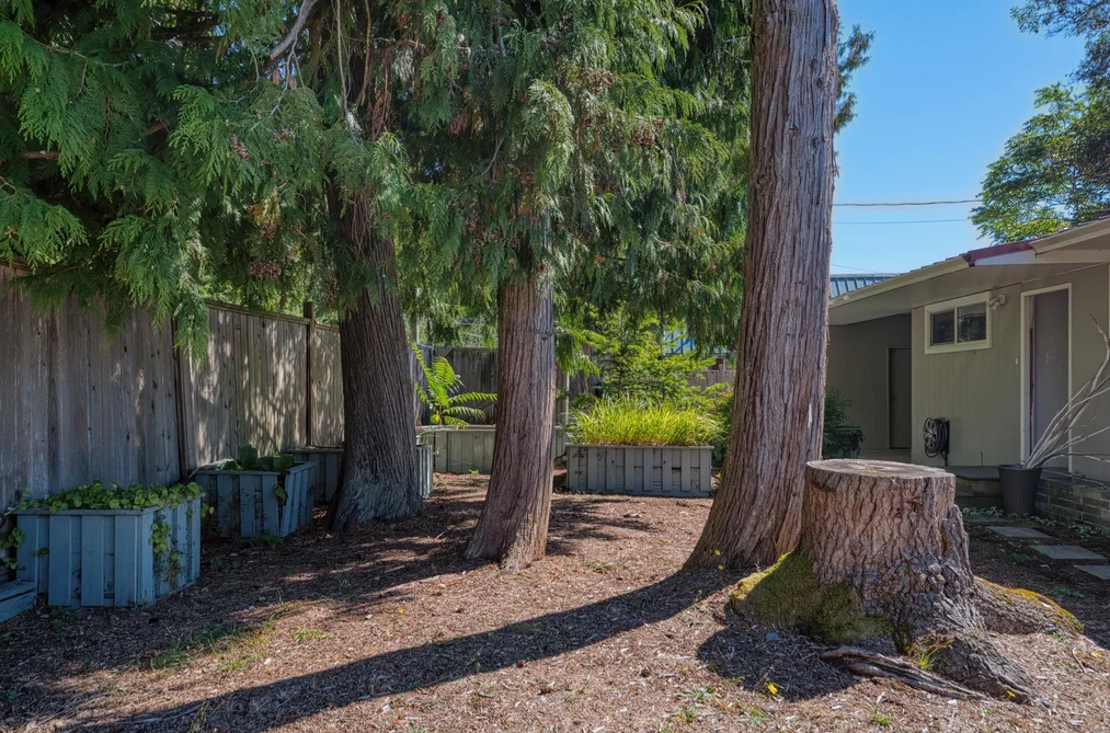 6833 Sunshine Coast Highway, Sechelt, BC - MLS: R3164701 - Photo 31 6833 Sunshine Coast Highway, Sechelt, BC - MLS: R3164701 - Photo 31