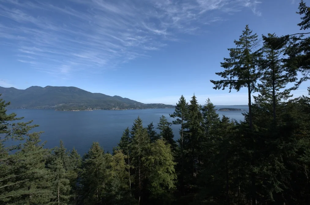 687 Channelview Drive, Bowen Island, BC - MLS: R3165074 - Photo 2 687 Channelview Drive, Bowen Island, BC - MLS: R3165074 - Photo 2