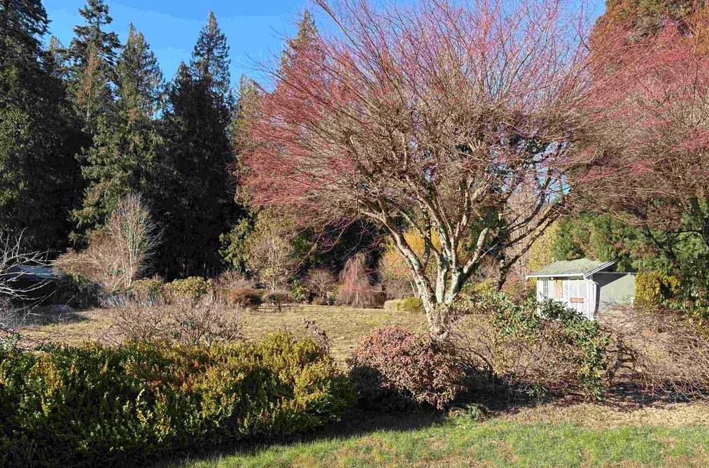 689 HAZEL STREET, Hope BC V0X 1L0, Hope BC — Land for Sale - Photo 4