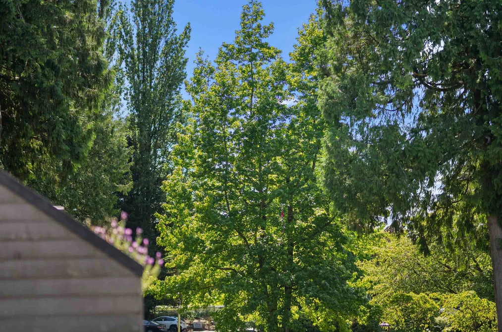 7 14025 NICO WYND PLACE, Surrey BC V4P 1J2, Surrey BC — Residential for Sale — Photo 34 of 39