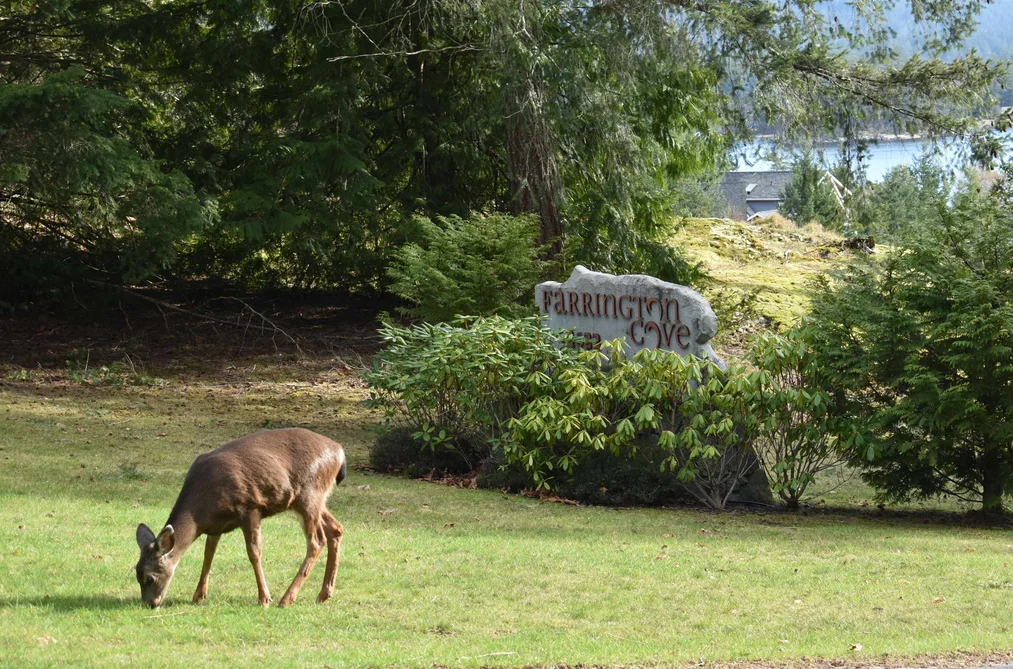 Property for sale at 7 4622 Sinclair Bay Road Pender Harbour British Columbia - MLS: R3121252
