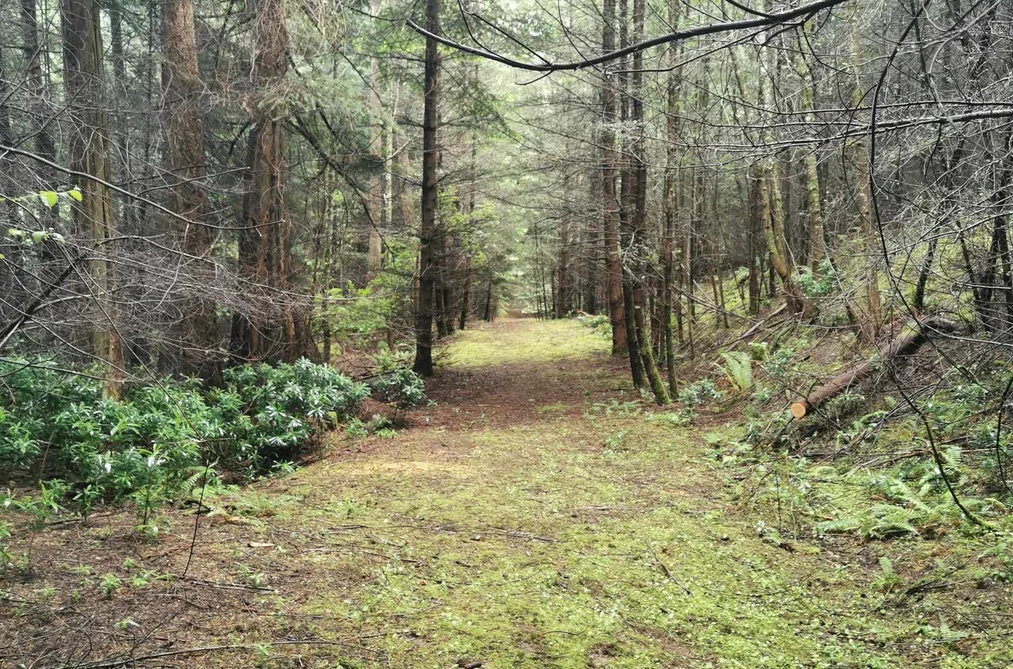 Property for sale at 706 Fernhill Road Mayne Island British Columbia - MLS: R3009492