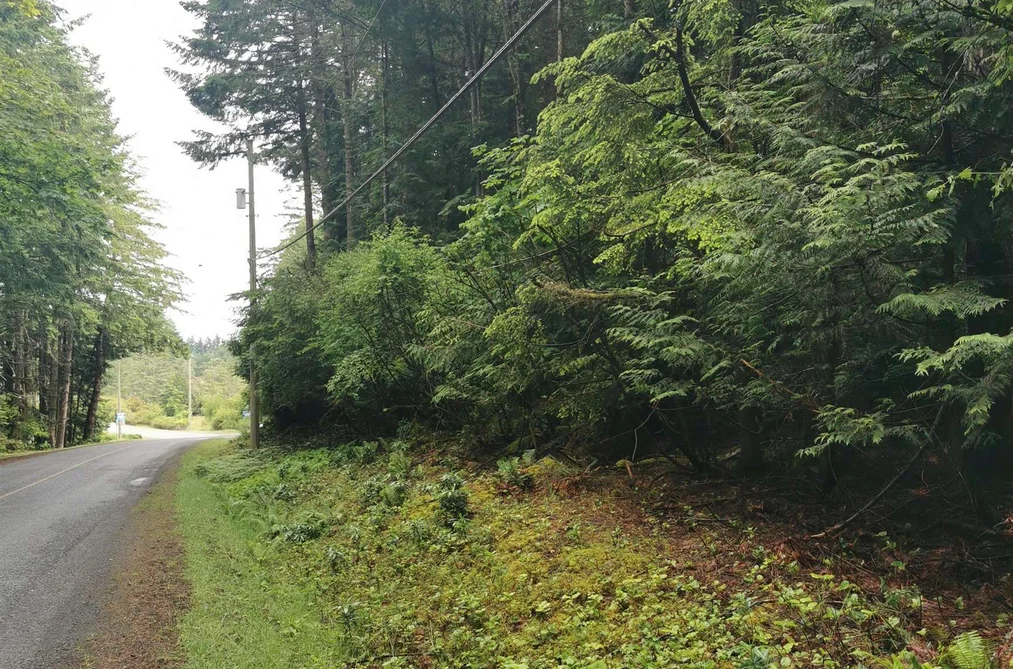 706 FERNHILL ROAD, Mayne Island BC V0N 2J1, Mayne Island BC — Land for Sale - Photo 2