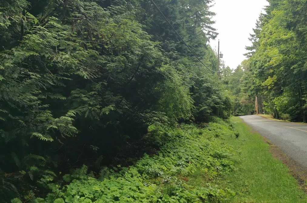 706 FERNHILL ROAD, Mayne Island BC V0N 2J1, Mayne Island BC — Land for Sale - Photo 3