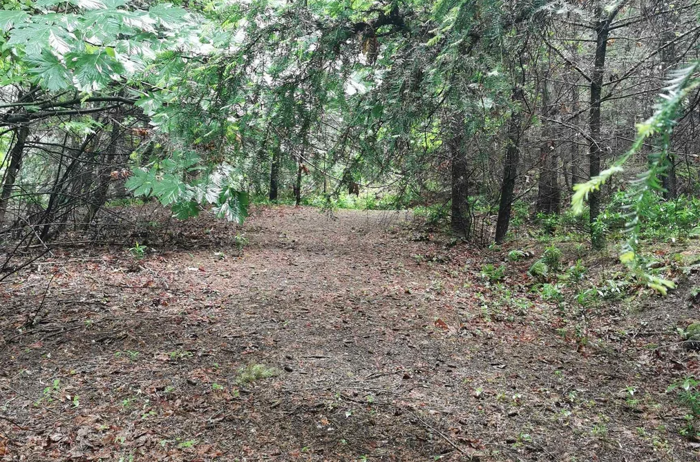 706 FERNHILL ROAD, Mayne Island BC V0N 2J1, Mayne Island BC — Land for Sale - Photo 4