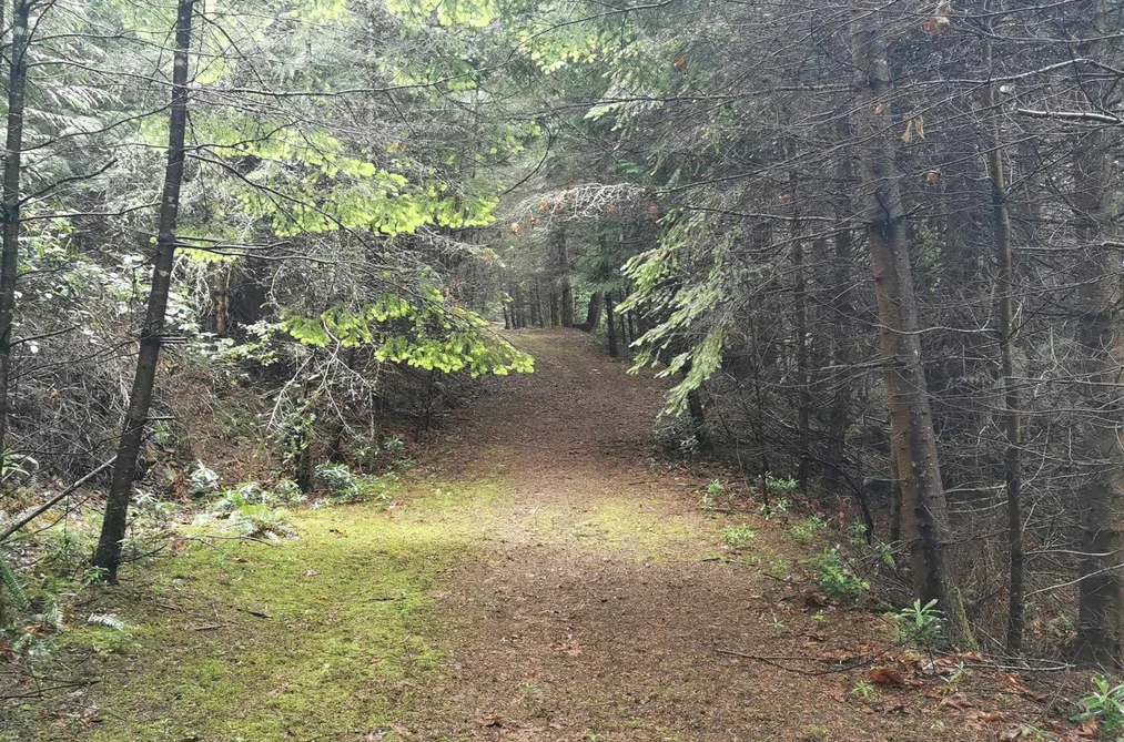 706 FERNHILL ROAD, Mayne Island BC V0N 2J1, Mayne Island BC — Land for Sale - Photo 7