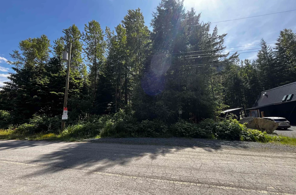 70901 OLD HOPE PRINCETON HIGHWAY, Sunshine Valley BC V0X 1L5, Sunshine Valley BC — Land for Sale - Photo 2