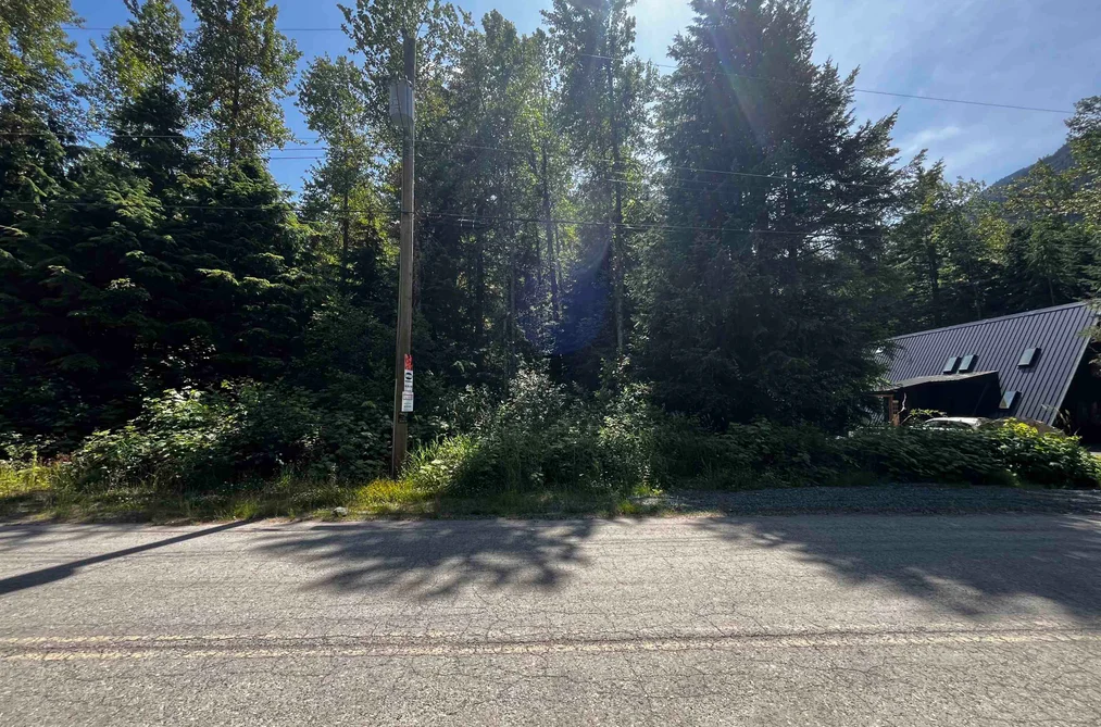 70901 OLD HOPE PRINCETON HIGHWAY, Sunshine Valley BC V0X 1L5, Sunshine Valley BC — Land for Sale - Photo 3