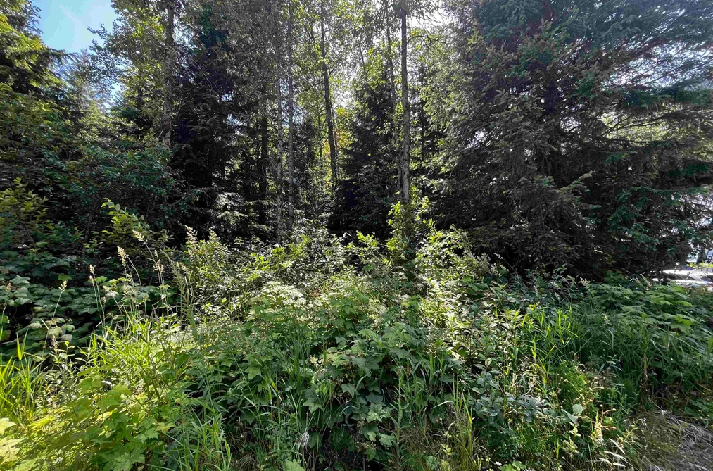 70901 OLD HOPE PRINCETON HIGHWAY, Sunshine Valley BC V0X 1L5, Sunshine Valley BC — Land for Sale - Photo 4