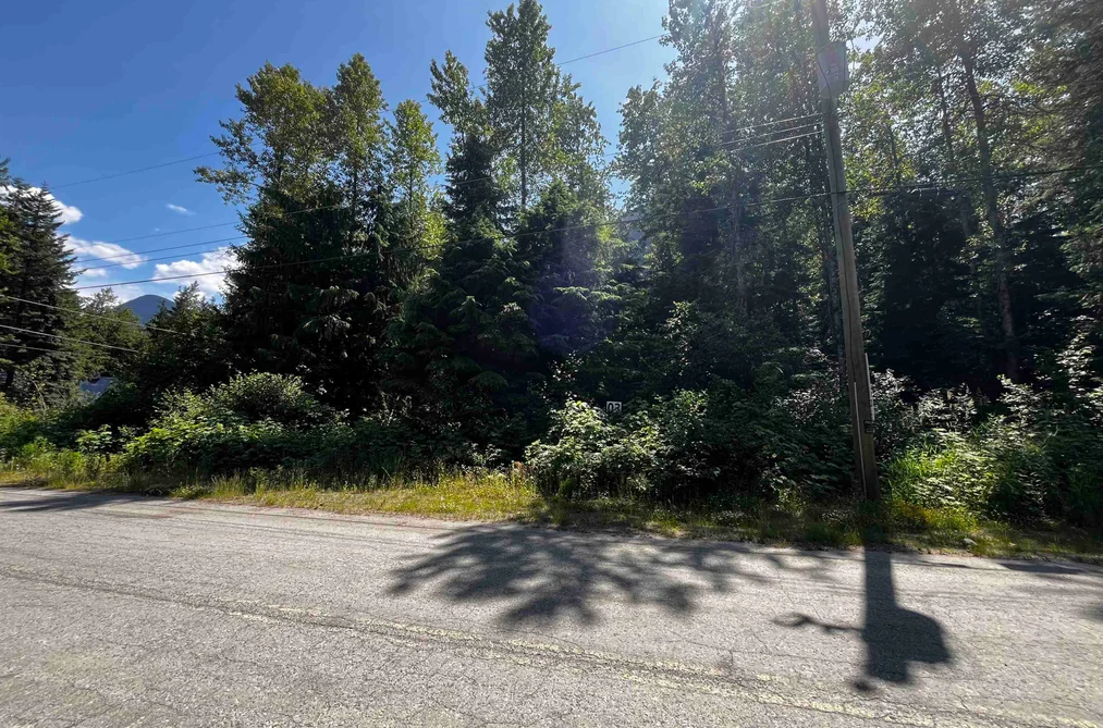 Property for sale at 70911 Old Hope Princeton Highway Sunshine Valley British Columbia - MLS: R3085573