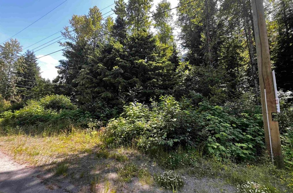70911 OLD HOPE PRINCETON HIGHWAY, Sunshine Valley BC V0X 1L5, Sunshine Valley BC — Land for Sale - Photo 2