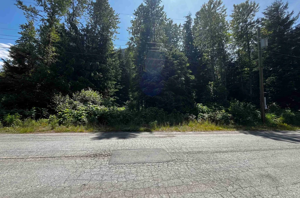 70911 OLD HOPE PRINCETON HIGHWAY, Sunshine Valley BC V0X 1L5, Sunshine Valley BC — Land for Sale - Photo 3