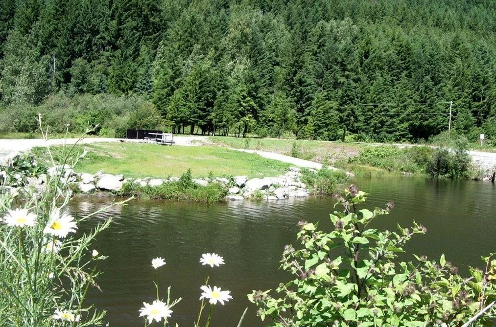 70911 OLD HOPE PRINCETON HIGHWAY, Sunshine Valley BC V0X 1L5, Sunshine Valley BC — Land for Sale - Photo 6