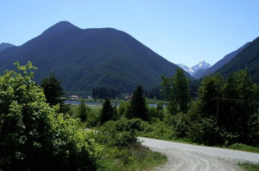 70911 OLD HOPE PRINCETON HIGHWAY, Sunshine Valley BC V0X 1L5, Sunshine Valley BC — Land for Sale - Photo 7