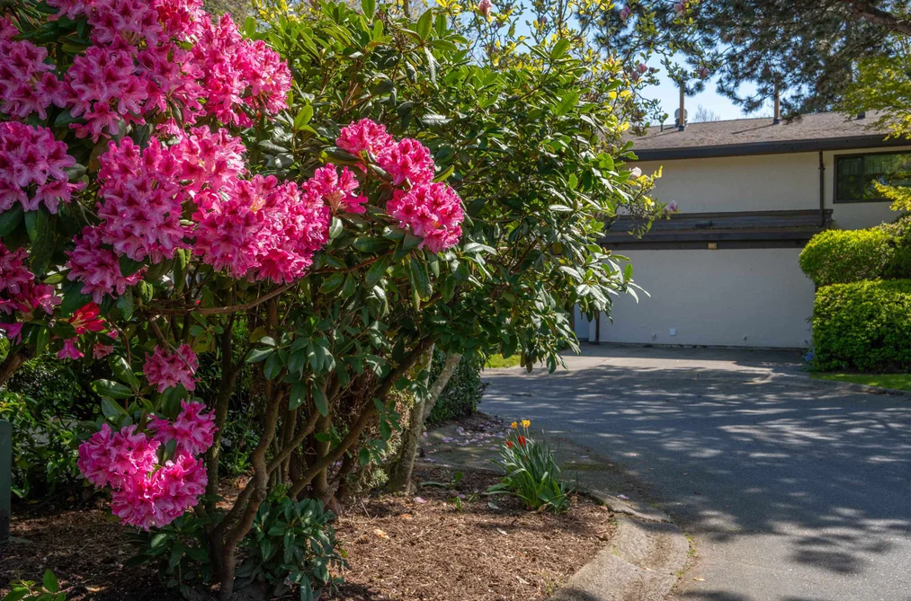 71 11491 7TH AVENUE, Richmond BC V7E 4J5, Richmond BC — Residential for Sale - Photo 2