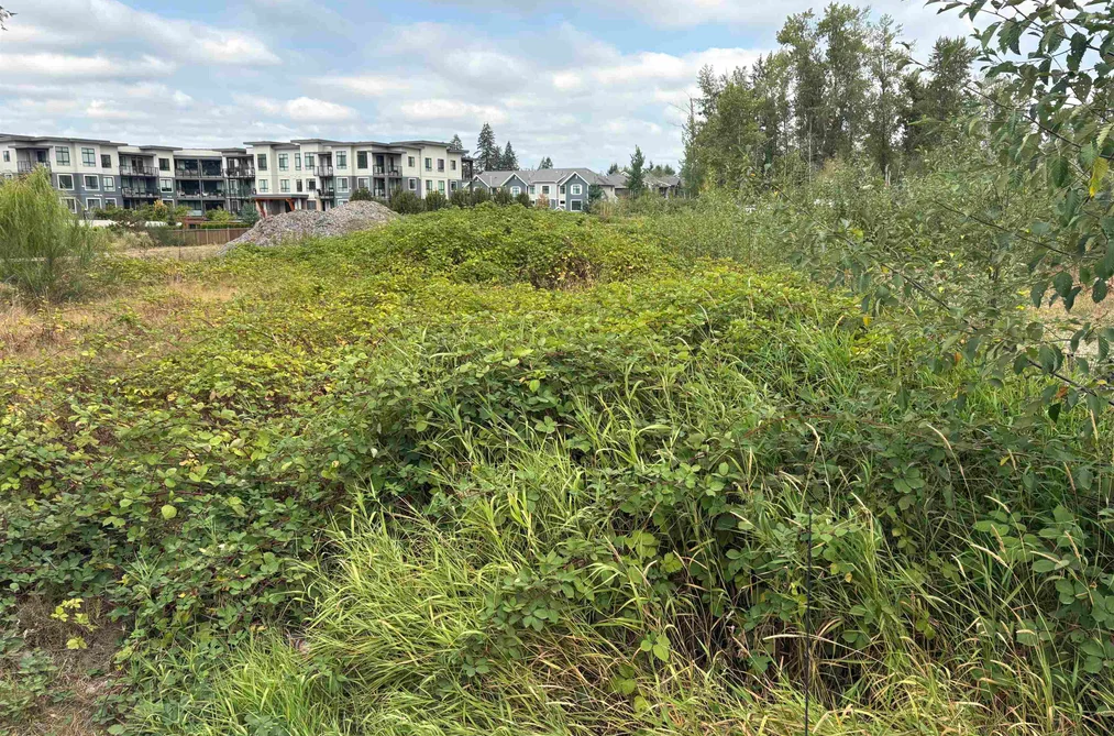 Property for sale at 7235 204 Street Langley British Columbia - MLS: R3159096