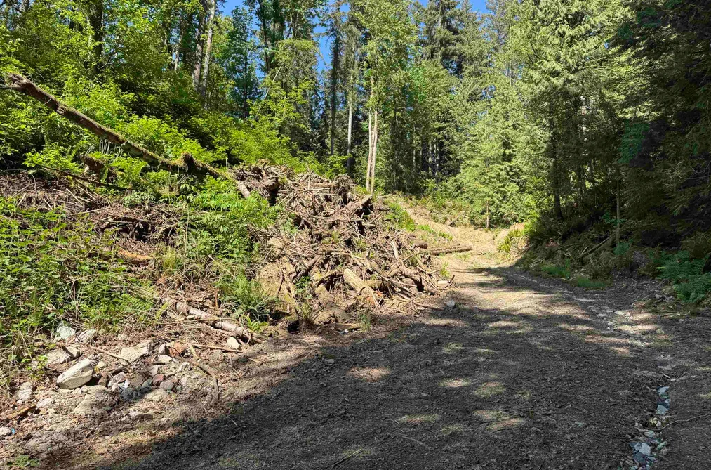 7252 272 STREET, Langley BC V4W 3W9, Langley BC — Land for Sale — Photo 10 of 10