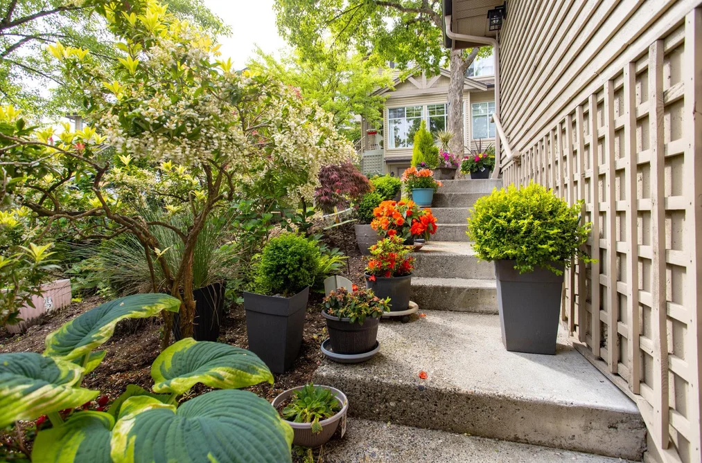 73 2979 PANORAMA DRIVE, Coquitlam BC V3E 2W8, Coquitlam BC — Residential for Sale - Photo 5