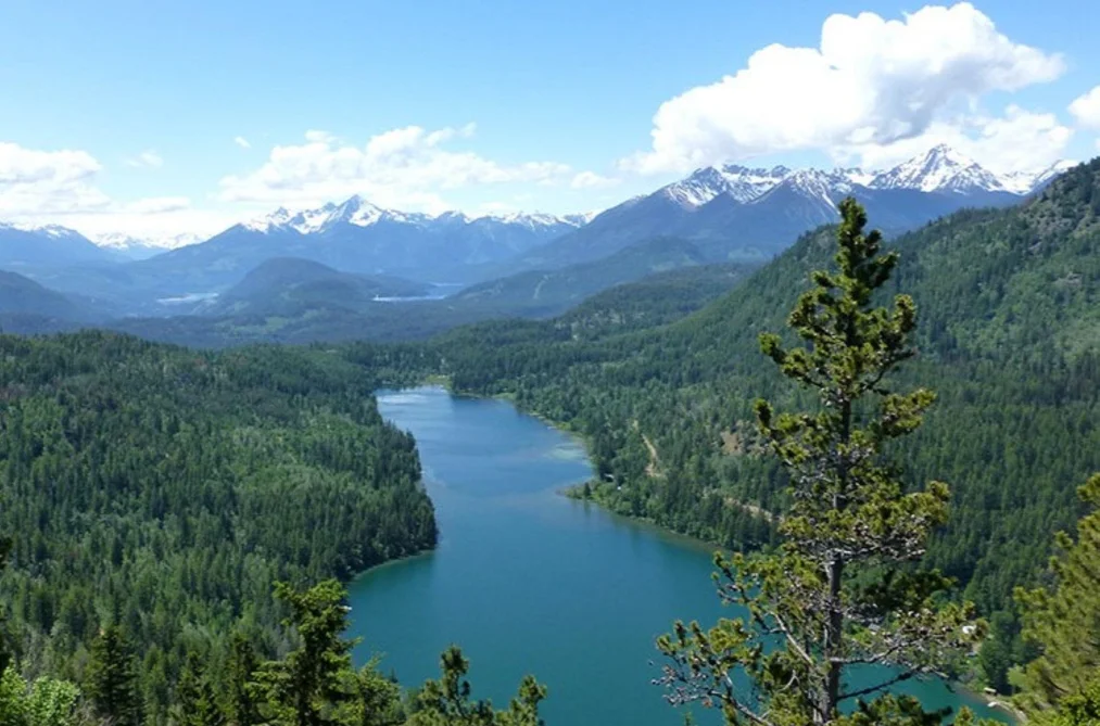 7326 TYAUGHTON LAKE ROAD, No City Value BC V0K 1P0, No City Value BC — Land for Sale - Photo 2
