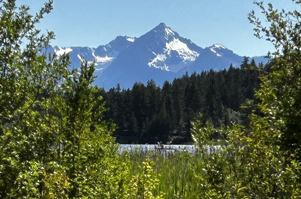7326 TYAUGHTON LAKE ROAD, No City Value BC V0K 1P0, No City Value BC — Land for Sale - Photo 4