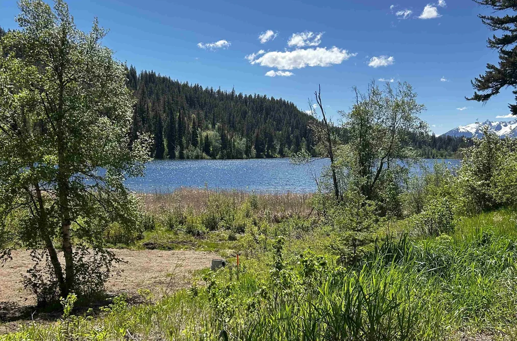 7326 TYAUGHTON LAKE ROAD, No City Value BC V0K 1P0, No City Value BC — Land for Sale - Photo 7