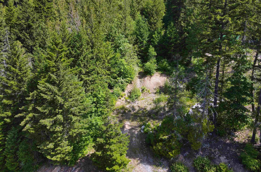 7505 PEBBLE CREEK DRIVE, Pemberton BC V0N 2L3, Pemberton BC — Land for Sale - Photo 6