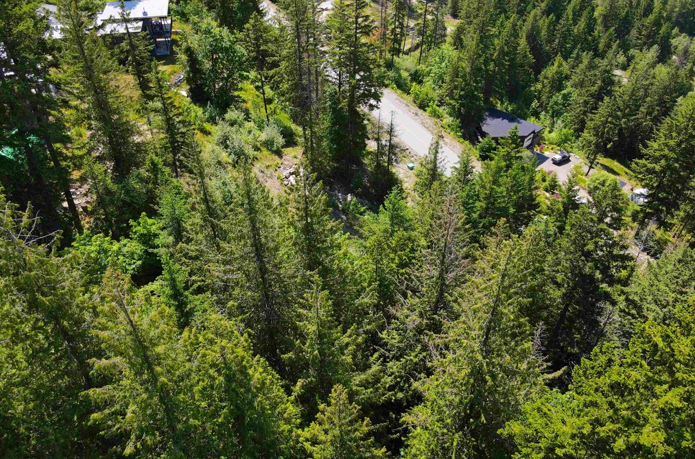7505 PEBBLE CREEK DRIVE, Pemberton BC V0N 2L3, Pemberton BC — Land for Sale - Photo 7