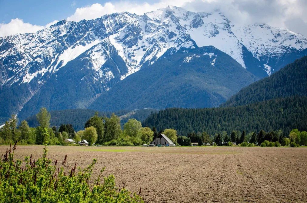 7631 PEMBERTON MEADOWS ROAD, Pemberton BC V0N 2L2, Pemberton BC — Land for Sale - Photo 4