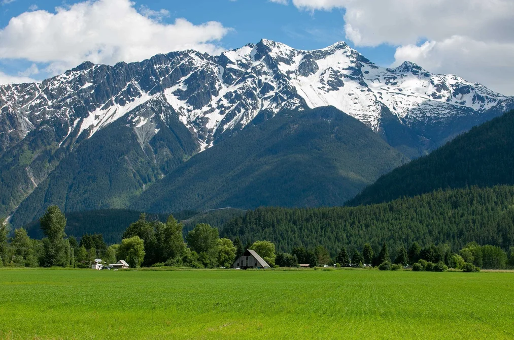 7631 PEMBERTON MEADOWS ROAD, Pemberton BC V0N 2L2, Pemberton BC — Land for Sale - Photo 7