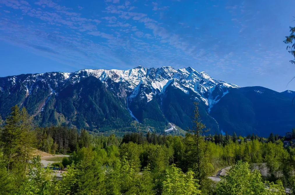 7634 SEVEN O'CLOCK DRIVE, Pemberton BC V0N 2L3, Pemberton BC — Land for Sale - Photo 2