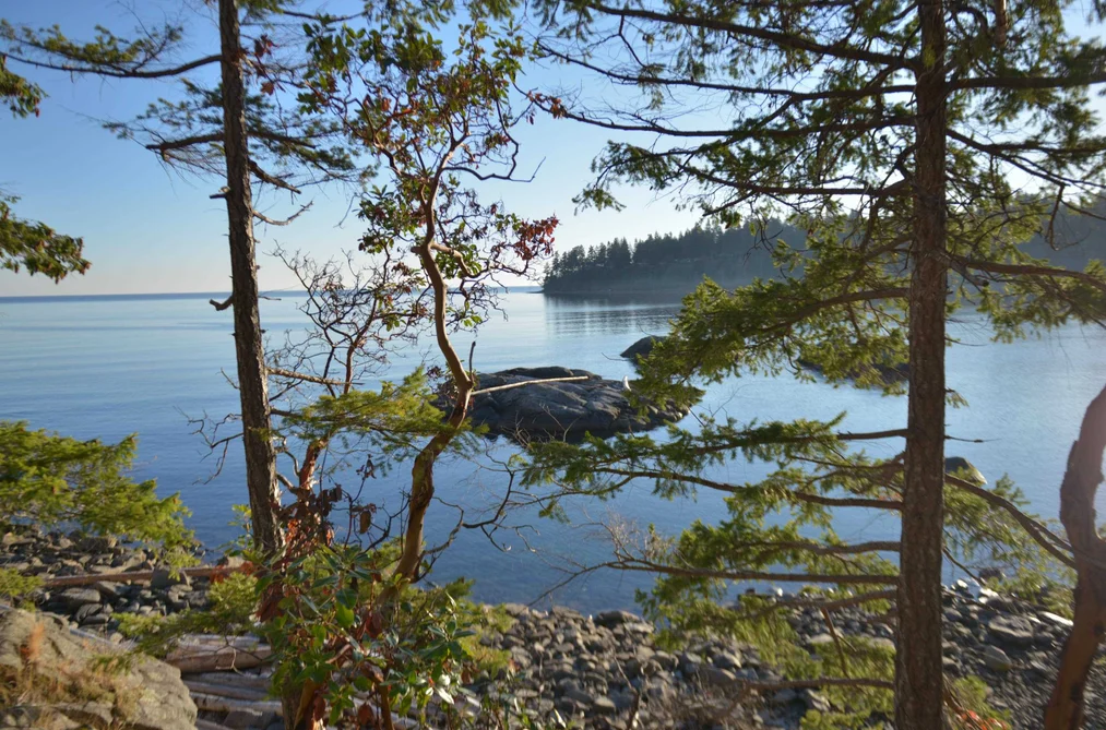 7643 COVE BEACH ROAD, Halfmoon Bay BC V7Z 1C3, Halfmoon Bay BC — Land for Sale - Photo 5