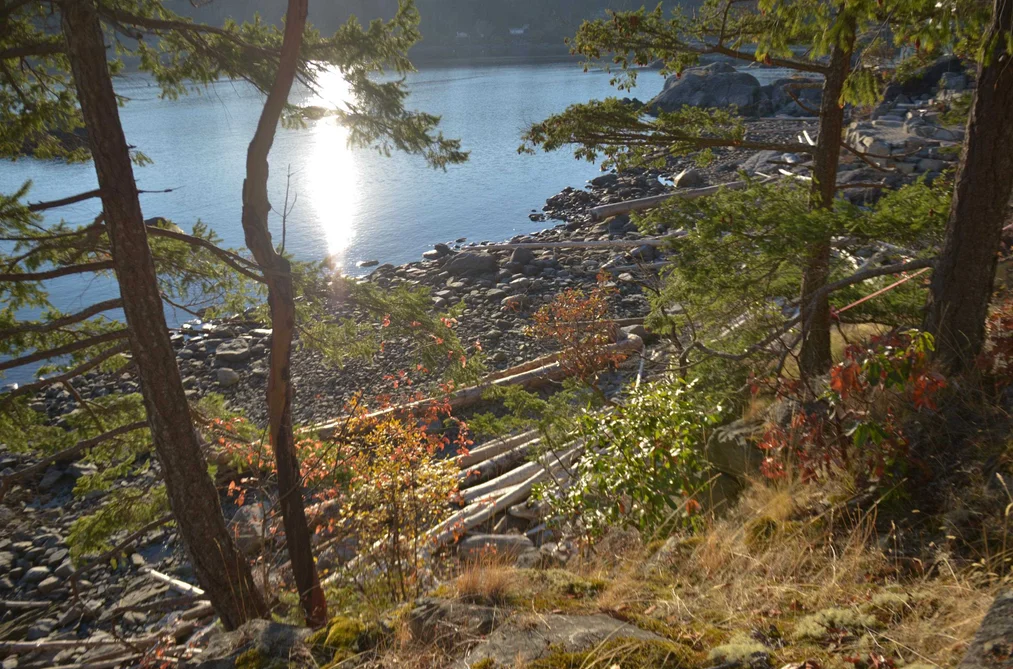 7643 COVE BEACH ROAD, Halfmoon Bay BC V7Z 1C3, Halfmoon Bay BC — Land for Sale - Photo 7