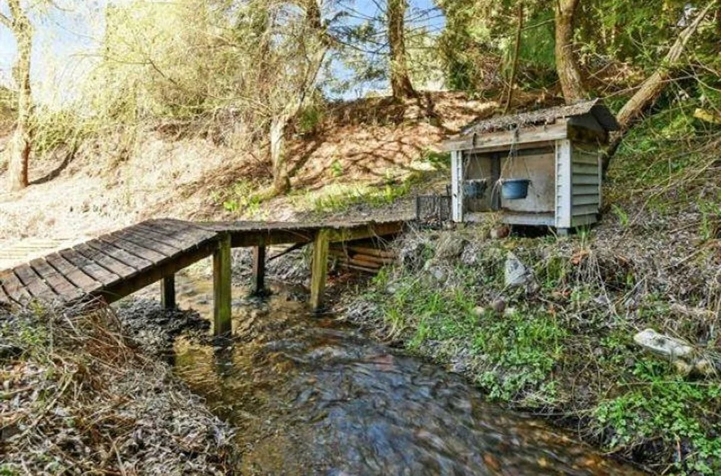 7657 HORNE STREET, Mission BC V2V 3Y8, Mission BC — Residential for Sale - Photo 3